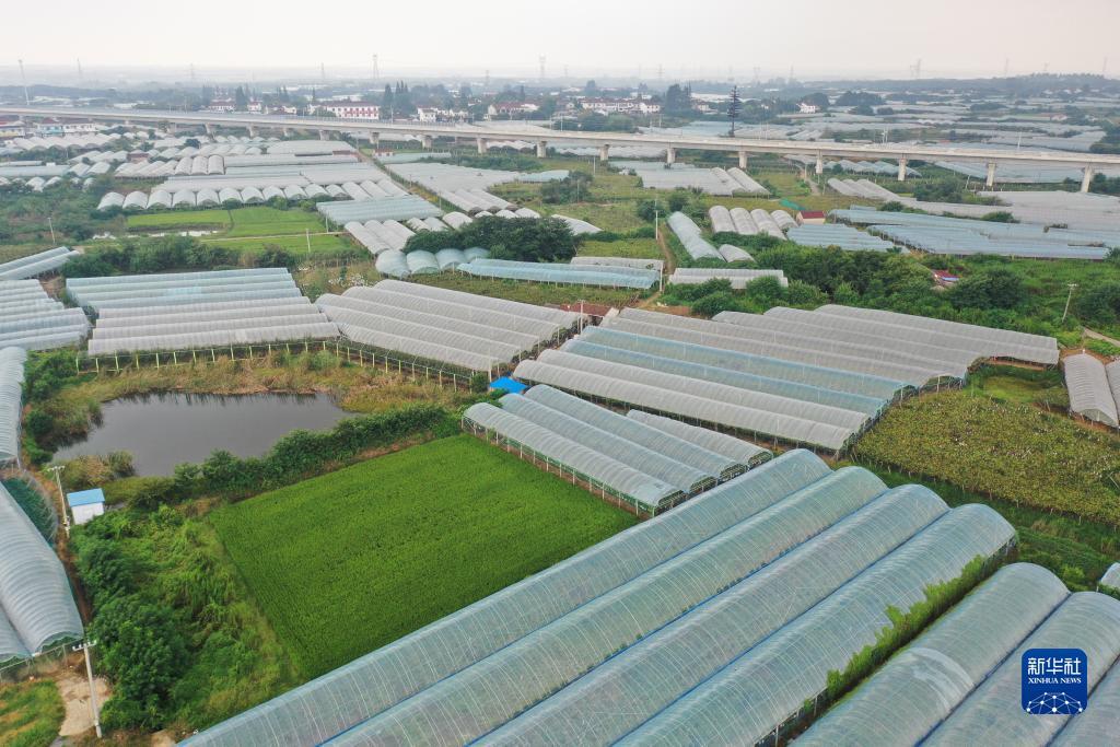 金沙总站15送35